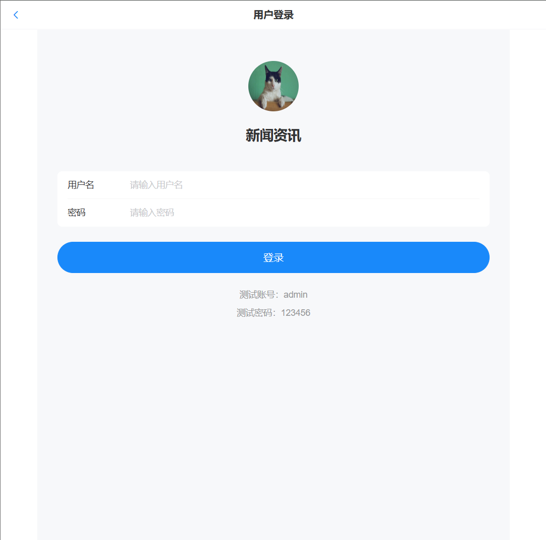 image-20251025130818007